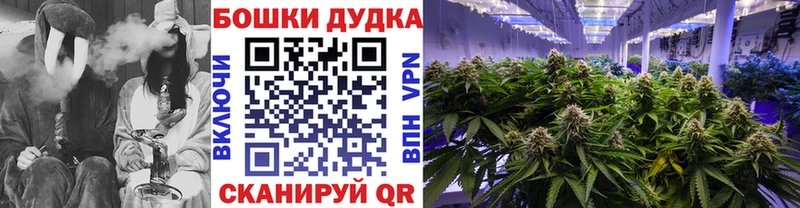 Бошки марихуана план  Туринск 